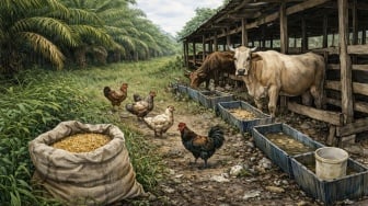 Ketika Sawit Sekadar Soal Untung, Pakar Sebut Potensi Besar Pakan Ternak jadi Terabaikan