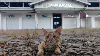 Beroperasi Cuma Dua Hari, Pasar Rakyat di Muaro Jambi ini Langsung Terbengkalai