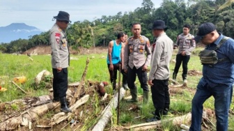 Kronologi Penemuan Tulang Manusia di Salareh Aia Agam, Polda Sumbar Langsung Evakuasi