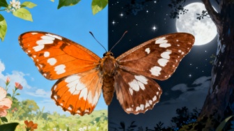 Warna yang Tak Terlihat