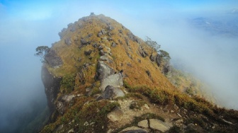 Hari Kedua: Tim SAR Melalui Medan Ekstrem Cari Pesawat di Ketinggian 1.353 Meter Gunung Bulusaraung