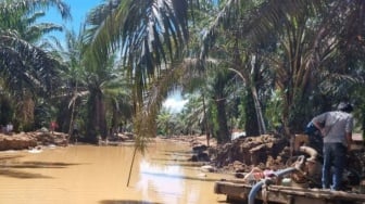 Warga Bandar Tarutung Tapsel Berjuang Atasi Jalan Berlumpur Pascabanjir, Aktivitas Ekonomi Tersendat