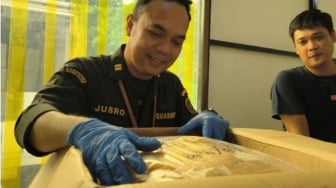 Dua Ton Telur Ikan Terbang Asal Sulsel Diekspor ke Tiongkok