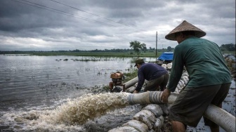 Viral Petani Kudus Kuras Air Sawah Saat Banjir, Ini Penjelasannya yang Sempat Disalahpahami
