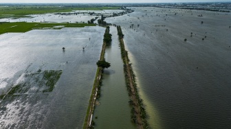 Foto udara area persawahan yang terendam banjir di Dusun Ngelo, Desa Karangrowo, Kudus, Jawa Tengah, Senin (19/1/2026). [ANTARA FOTO/Aprillio Akbar/rwa]