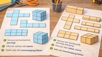 Perbedaan Jaring-jaring Kubus dan Balok, Lengkap dengan Gambar