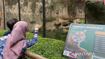 Penutupan Berkepanjangan Bandung Zoo Dinilai Picu Kebocoran PAD dan Praktik Tak Resmi