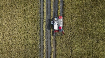 Margin Fee Bulog Naik Jadi 7 Persen, Rizal: Bisa Tambah Semangat dan Kinerja Perusahaan