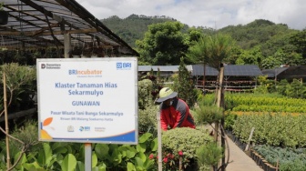 BRI Bina Puluhan Ribu Klaster untuk Percepat Kenaikan Kelas UMKM