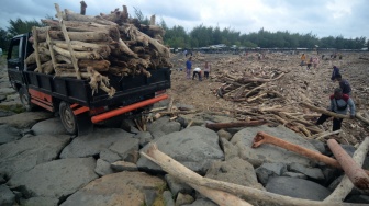 Sejumlah warga mengumpulkan kayu yang terdampar di Pantai Utara Desa Larangan, Kabupaten Tegal, Jawa Tengah, Senin (26/1/2026). [ANTARA FOTO/Oky Lukmansyah/foc]