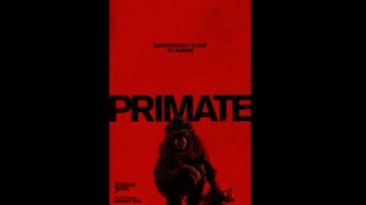 Review Film Primate (2025): Teror Mencekam Simpanse Ganas Tanpa Efek CGI