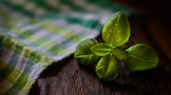 Antara Jurnal Scopus dan Kerokan: Membedah Pluralisme Medis di Indonesia