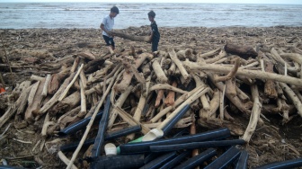 Sejumlah anak mengumpulkan kayu yang terdampar di Pantai Utara Desa Larangan, Kabupaten Tegal, Jawa Tengah, Senin (26/1/2026). [ANTARA FOTO/Oky Lukmansyah/foc]
