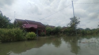 Pati Belum Sepenuhnya Pulih: 58 Desa Masih Terendam Banjir, Ribuan Warga Terdampak!