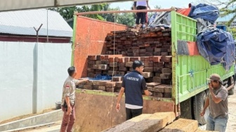 Petugas Tangkap 544 Batang Kayu Kumea Tanpa Dokumen di Makassar