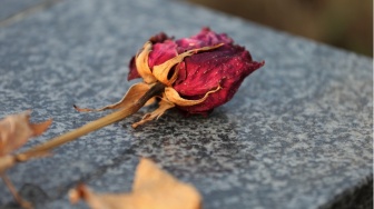 Krisis Empati dan Menakar Batas Etika Saat Mendengar Kabar Duka