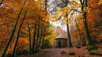 Sepenggal Kisah dari Tanah Persinggahan