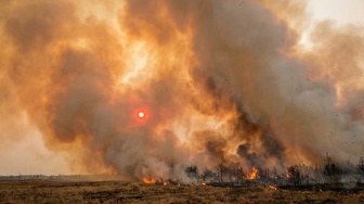 Apa Dampak Kabut Asap Bagi Kesehatan? Ini Penjelasan Dokter