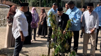 Bikin Penasaran! Alasan Kiai Maruf Amin Tanam Durian Musang King di Salatiga