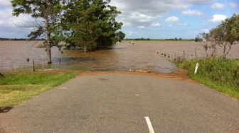 Banjir yang Tak Pernah Usai: Kota, Beton, dan Kekalahan Berulang