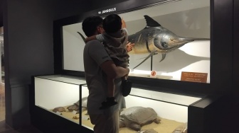 Masuk ke Dunia Satwa Liar Lewat Immerzoa, Daya Tarik Baru Museum Zoologi Bogor yang Wajib Dikunjungi
