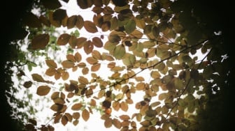 Memori 1989: Titik Balik Hidup dan Genggaman