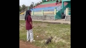 Pelaku Penendang Kucing Diduga Pensiunan ASN Pemkab Blora, Terancam 1,6 Tahun Penjara
