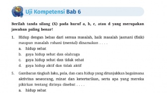 Kunci Jawaban Pendidikan Jasmani Olahraga dan Kesehatan Kelas VII: Uji Kompetensi Halaman 176