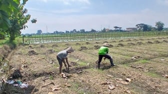 Pertanian dan UMKM Jadi Andalan Ekonomi Baru