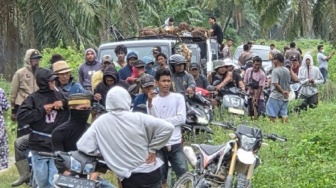 Kerusuhan Pecah di Kebun Sawit Donggala: Ratusan Warga Bentrok dengan Petugas