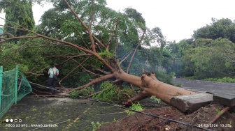 Tiga Petani Sleman Tersambar Petir saat Berteduh di Gubuk Tengah Sawah, Dua Orang Meninggal Dunia