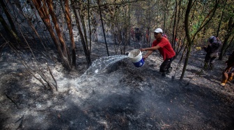 Warga membantu upaya pemadaman kebakaran hutan di kawasan hutan lindung Taman Lestari di Batam, Kepulauan Riau, Senin (9/2/2026). [ANTARA FOTO/Teguh Prihatna/agr]