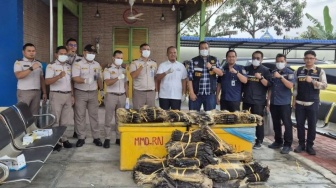 Nyaris Lolos ke Malaysia! Ribuan Kulit Biawak Diselundupkan Pakai Modus Pasir dan Kerang