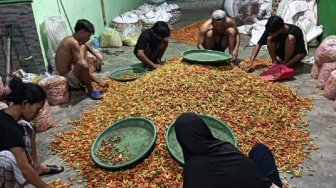 Harga Cabai Rawit NTB Meroket Rp95 Ribu Jelang Ramadan, Gubernur Iqbal Siapkan Jurus Ini