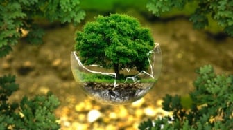 Ekosida: Kejahatan Lingkungan yang Belum Diakui Negara