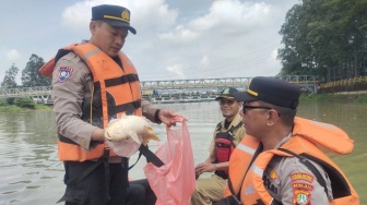 Tercemar Pestisida, Kapolres Tangerang Kota Larang Warga Konsumsi Ikan Mati di Sungai Cisadane