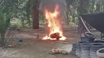 Frustrasi Maksimal! Kakek di Sulbar Nekat Bakar Motor Sendiri, Alasannya Bikin Geleng-geleng Kepala