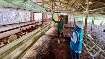 Lebih dari 390 Ribu Pelanggan Manfaatkan Program Electrifying Agriculture &amp; Marine PLN hingga 2025