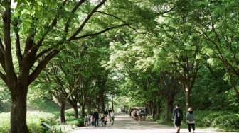 Ekoterapi: Pentingnya Ruang Hijau Bagi Kesehatan Mental Masyarakat