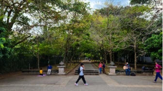 The Power of Nature: Cara Sederhana Menghilangkan Stres dengan Kembali ke Alam
