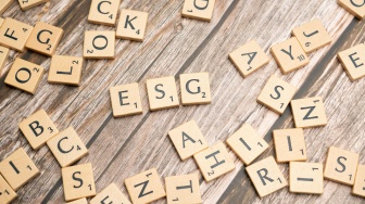 Pacu Daya Saing Investasi, Perusahaan RI Butuh Panduan untuk Eksekusi Strategi ESG