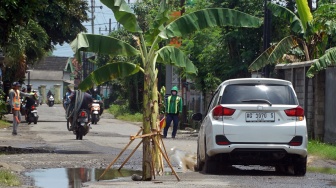 Pengendara melintasi jalan rusak yang sebagian ditanami pohon pisang oleh warga, di Jalan Raya Pandean, Ngunut, Tulungagung, Jawa Timur, Senin (16/2/2026). [ANTARA FOTO/Destyan Sujarwoko/rwa]
