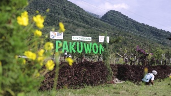 Cerita Inspiratif: Desa Pajambon Harmoni Tani dan Wisata