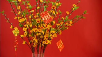 Hoki Melimpah! 5 Tanaman Wajib saat Imlek