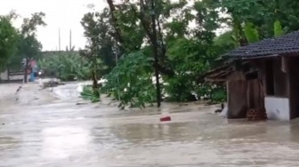 Grobogan Diterjang Banjir Bandang: 14 Desa Terendam, Tanggul Jebol, Ratusan Warga Terjebak!