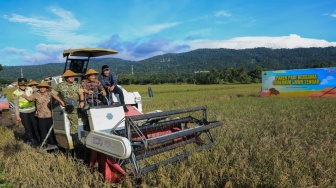 Jateng Mulai Panen Raya Padi, Diperkirakan Bisa Panen 3,35 Juta Ton Selama 3 Bulan