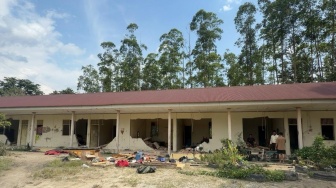 Kronologi Belasan Gajah Liar Robohkan Dinding Mess PT Arara Abadi di Siak