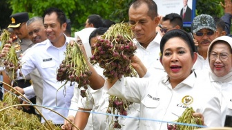 Komisi IV DPR RI Apresiasi Produksi Bawang Merah Brebes Tembus Pasar Internasional