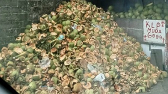 Menumpuk di Pantai Padang, Limbah Kelapa Muda Bisa Jadi Pakan Ternak?