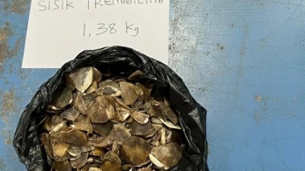 Perdagangan 1,38 Kg Sisik Trenggiling di Sintang Kalbar Dibongkar